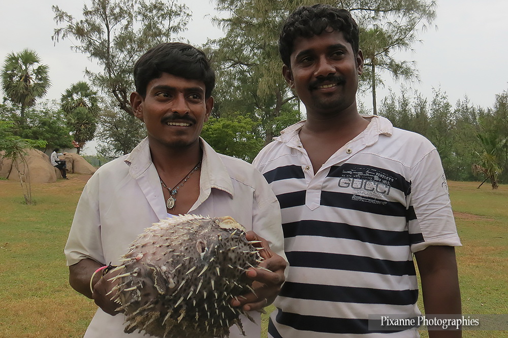 Asie, Inde du Sud, Tamil Nadu, Mahabalipuram, Tiger Cave, Souvenirs de Voyages, Pixanne Photographies