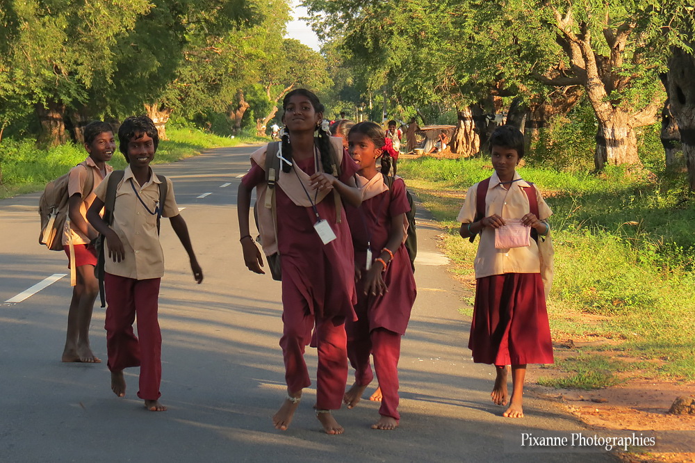 Asie, Inde du Sud, Tamil Nadu, Mahabalipuram, Pondichéry, Souvenirs de Voyages, Pixanne Photographies
