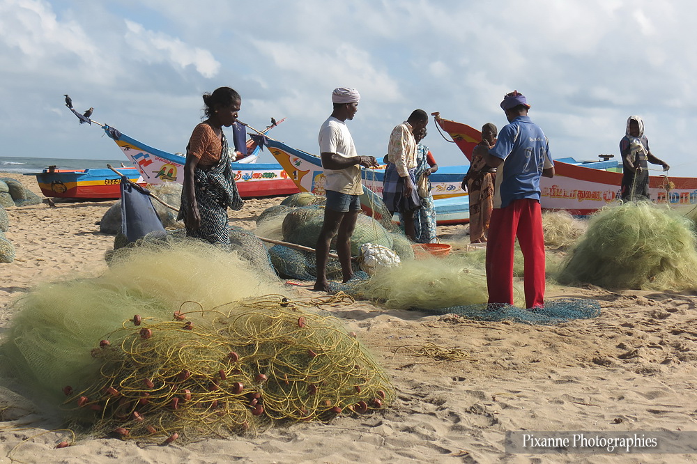 Asie, Inde du Sud, Tamil Nadu, Veerampattinam, Souvenirs de Voyages, Pixanne Photographies
