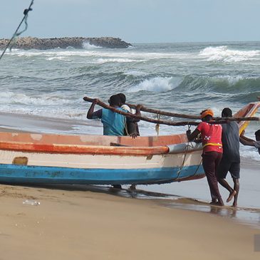 Asie, Inde du Sud, Tamil Nadu, Veerampattinam, Souvenirs de Voyages, Pixanne Photographies