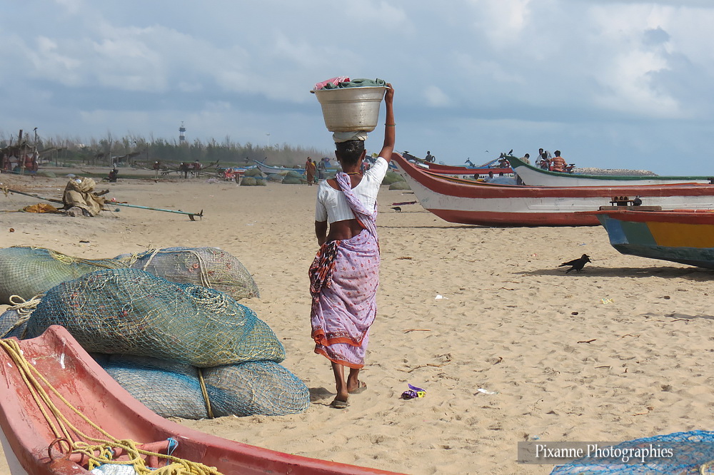 Asie, Inde du Sud, Tamil Nadu, Veerampattinam, Souvenirs de Voyages, Pixanne Photographies