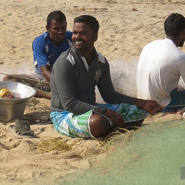 Asie, Inde du Sud, Tamil Nadu, Veerampattinam, Souvenirs de Voyages, Pixanne Photographies
