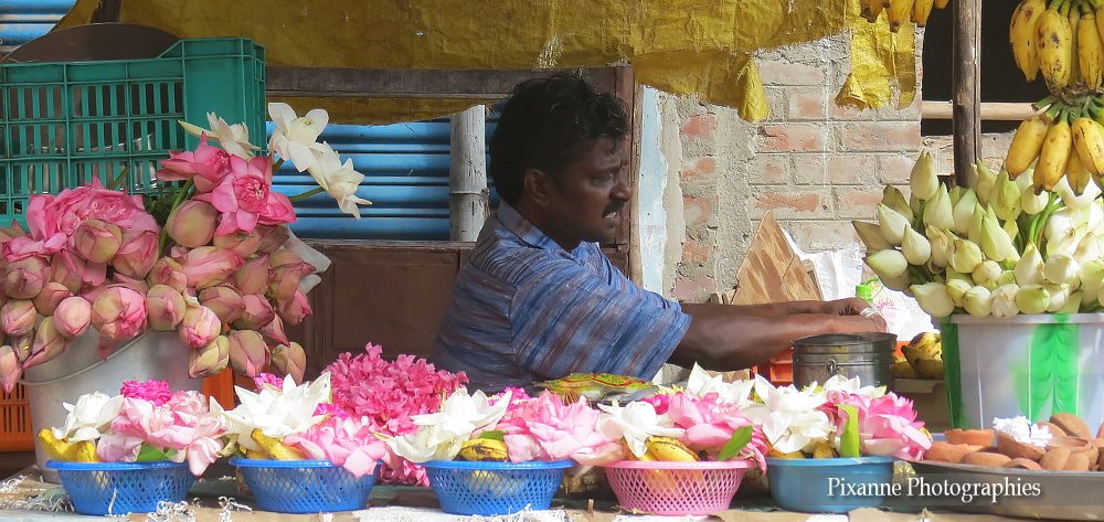 Asie, Inde du Sud, Tamil Nadu, Chidambaram, Nataraja Temple, Souvenirs de Voyages, Pixanne Photographies