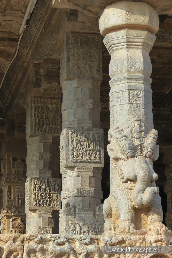Asie, Inde du Sud, Tamil Nadu, Darasuram, Dharasuram, Airavatesvara temple, Yâlî, Souvenirs de Voyages, Pixanne Photographies