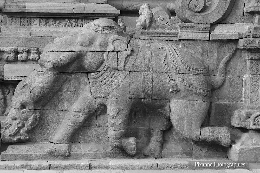 Asie, Inde du Sud, Tamil Nadu, Darasuram, Dharasuram, Airavatesvara temple, Souvenirs de Voyages, Pixanne Photographies