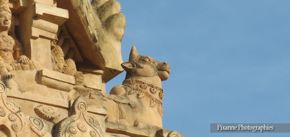 Asie, Inde du Sud, Tamil Nadu, Darasuram, Dharasuram, Airavatesvara temple, Souvenirs de Voyages, Pixanne Photographies