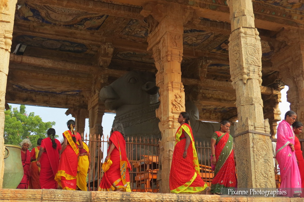 Asie, Inde du Sud, Tamil Nadu, Thanjavur, Tanjore, Brihadishvara Temple, Pélerins, Nandi, Souvenirs de Voyages, Pixanne Photographies