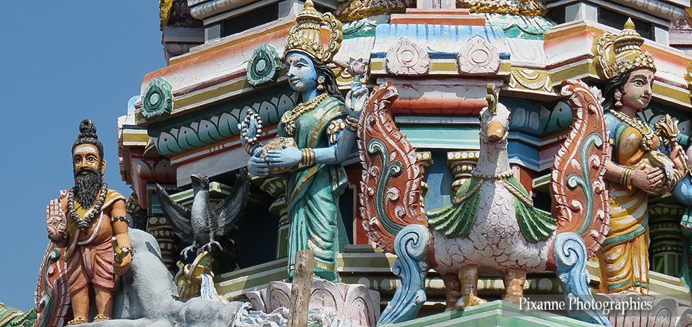 Asie, Inde du Sud, Tamil Nadu, Trichy, Srirangam, Amma Mandapam, Souvenirs de Voyages, Pixanne Photographies
