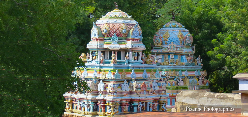 Asie, Inde du Sud, Tamil Nadu, Trichy, Srirangam, Sri Ranganathaswamy Temple, Souvenirs de Voyages, Pixanne Photographies