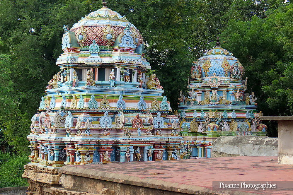 Asie, Inde du Sud, Tamil Nadu, Trichy, Srirangam, Sri Ranganathaswamy Temple, Souvenirs de Voyages, Pixanne Photographies
