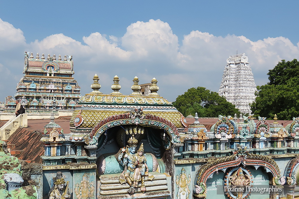 Inde-du-Sud_1578