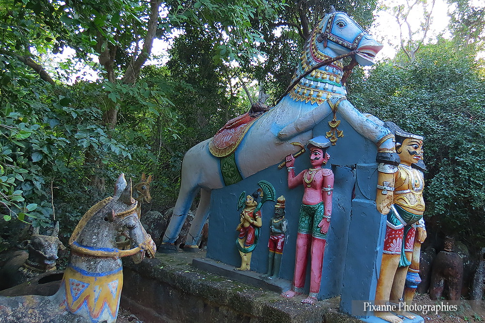 Asie, Inde du Sud, Tamil Nadu, Namunasamudram, Ayyanar Temple, Souvenirs de Voyages, Pixanne Photographies