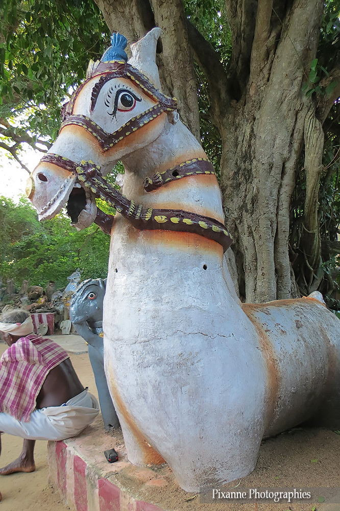 Asie, Inde du Sud, Tamil Nadu, Namunasamudram, Ayyanar Temple, Souvenirs de Voyages, Pixanne Photographies