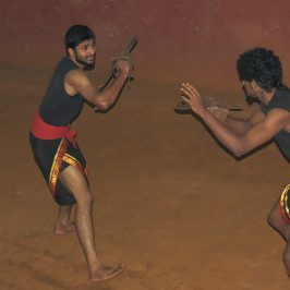 Asie, Inde du Sud, Kerala, Thekkady, Kadathanadan Kalari Center, Kalaripayattu, Souvenirs de Voyages, Pixanne Photographies