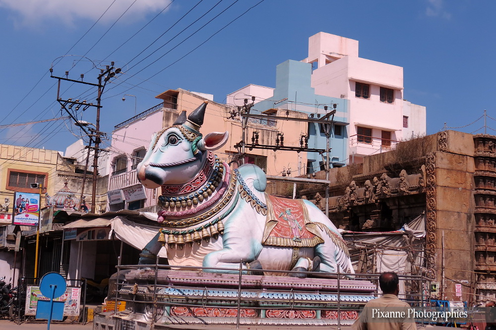 Asie, Inde du Sud, Tamil Nadu, Madurai, Pudhu Mandapam, Souvenirs de Voyages, Pixanne Photographies