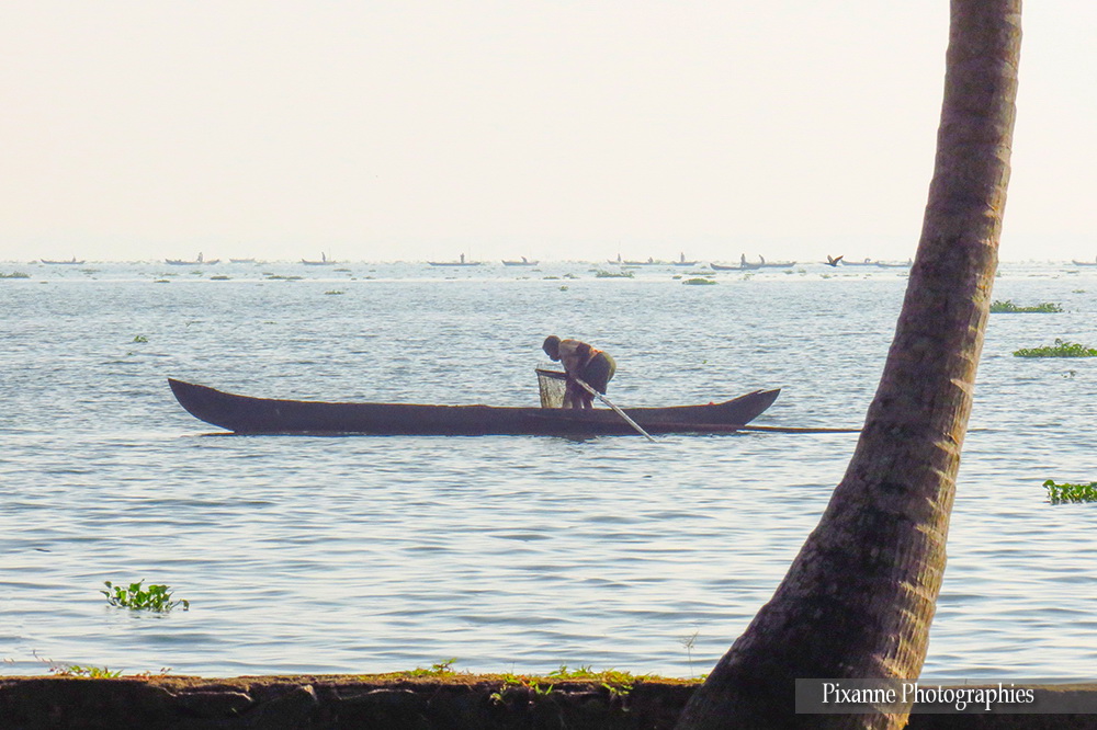 Asie, Inde du Sud, Kerala, Backwaters, Lac Vembanad, pêcheur, barque, Souvenirs de Voyages, Pixanne Photographies