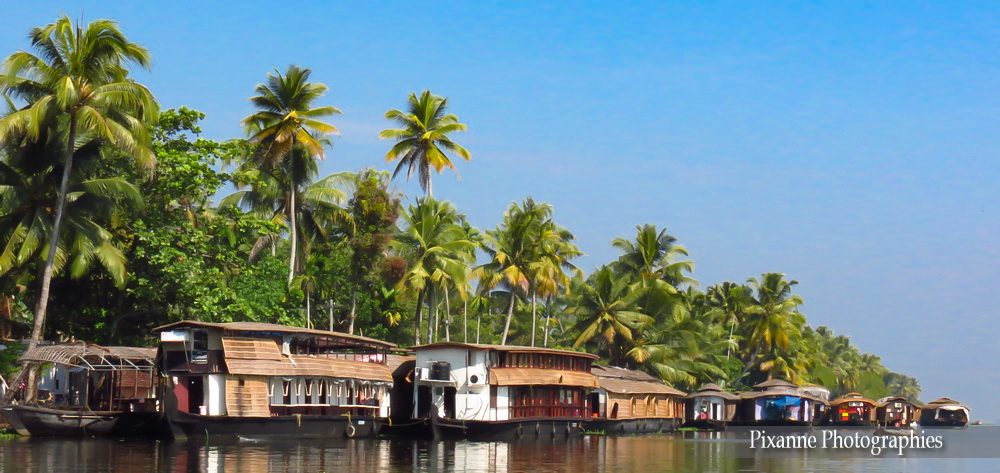 Asie, Inde du Sud, Kerala, Backwaters, Houseboats, Souvenirs de Voyages, Pixanne Photographies