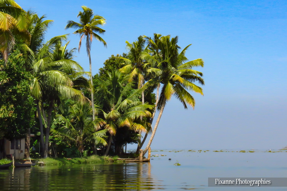 Asie, Inde du Sud, Kerala, Backwaters, Lac Vembanad, Souvenirs de Voyages, Pixanne Photographies