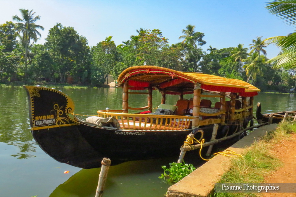 Asie, Inde du Sud, Kerala, Backwaters, Souvenirs de Voyages, Pixanne Photographies