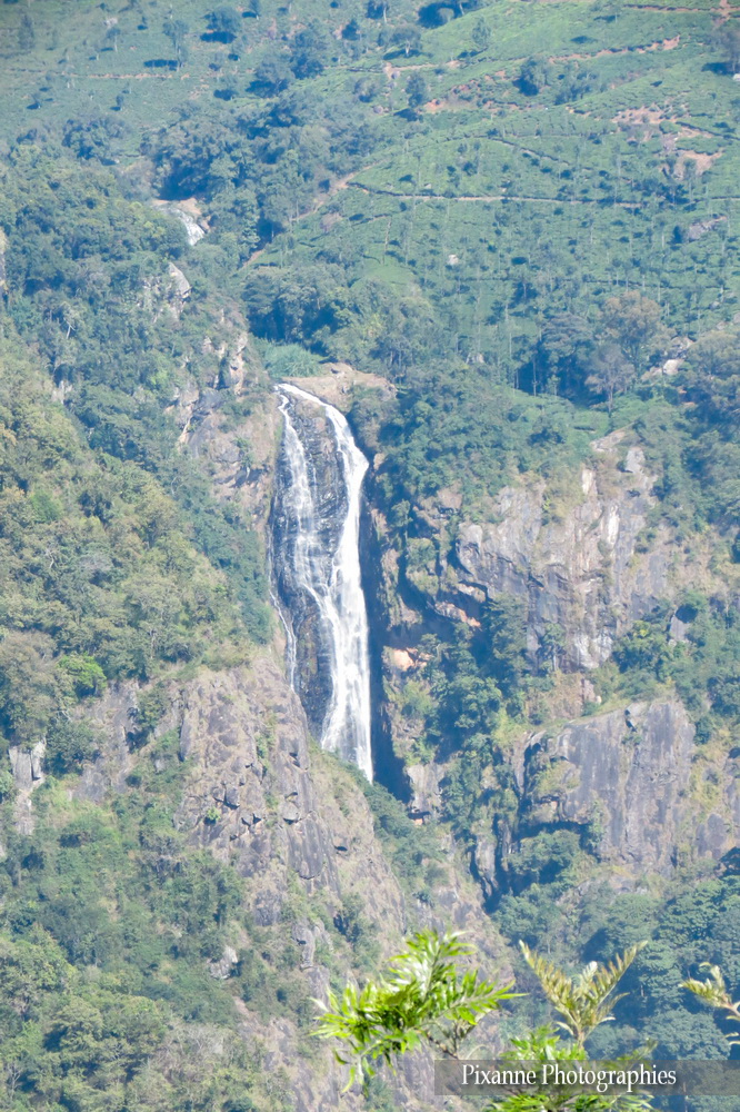 Asie, Inde du Sud, Tamil Nadu, Coonoor, Dolphin's Nose, Catherine Falls, Souvenirs de Voyages, Pixanne Photographies