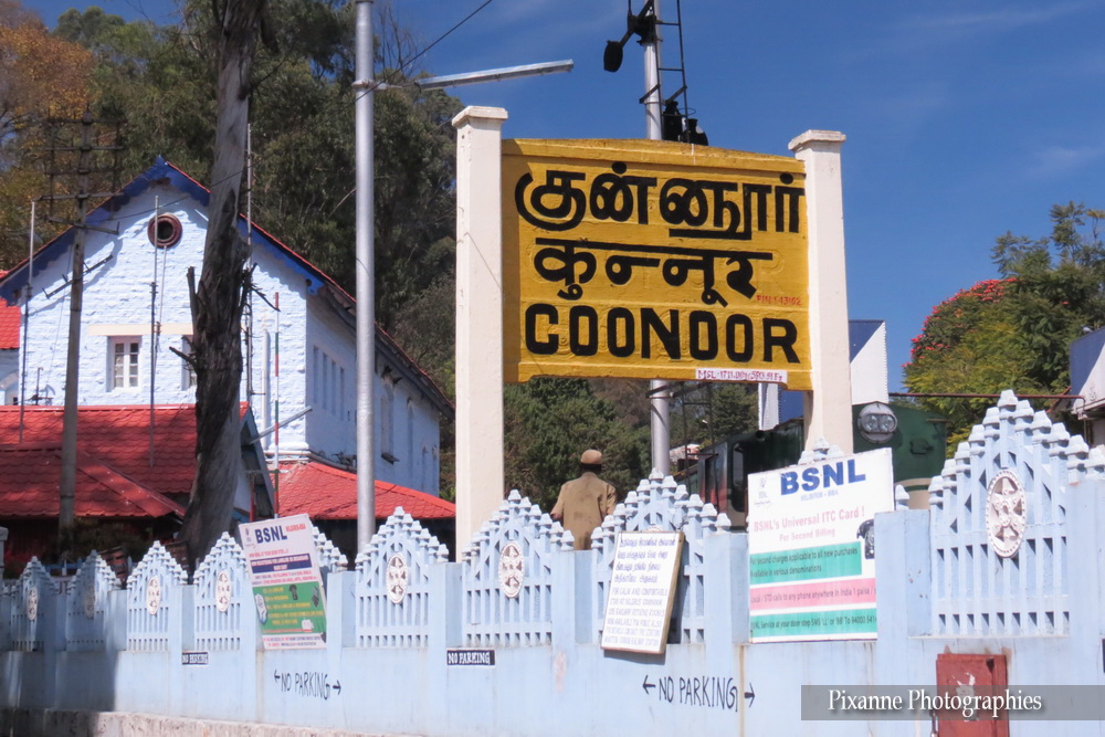 Asie, Inde du Sud, Tamil Nadu,Coonoor, Ooty, Nilgiri Mountain Railway, Souvenirs de Voyages, Pixanne Photographies