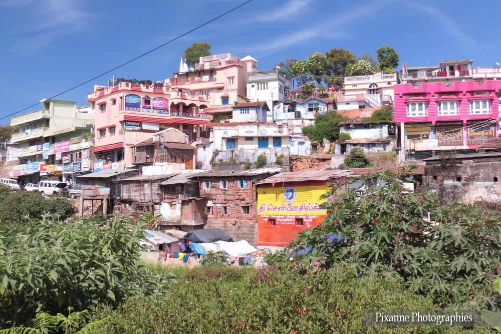 Asie, Inde du Sud, Tamil Nadu,Coonoor, Ooty, Nilgiri Mountain Railway, Souvenirs de Voyages, Pixanne Photographies