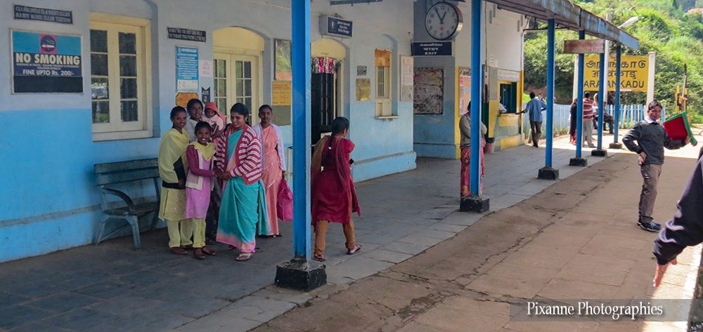 Asie, Inde du Sud, Tamil Nadu, Coonoor, Ooty, Nilgiri Mountain Railway, Souvenirs de Voyages, Pixanne Photographies