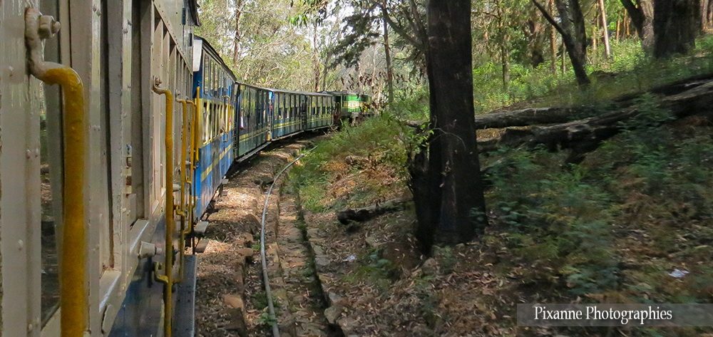 Asie, Inde du Sud, Tamil Nadu, Coonoor, Ooty, Nilgiri Mountain Railway, Souvenirs de Voyages, Pixanne Photographies