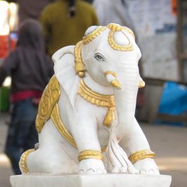Asie, Inde du Sud, Tamil Nadu, Ooty, Temple Nasiyan Jain , Souvenirs de Voyages, Pixanne Photographies