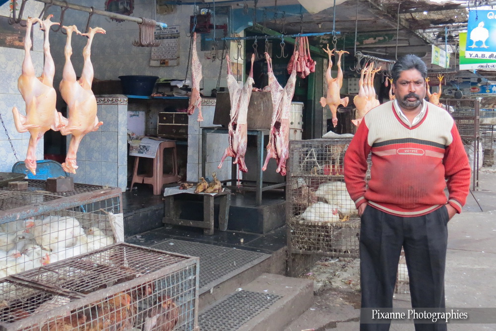 Asie, Inde du Sud, Tamil Nadu, Ooty, Marché, Souvenirs de Voyages, Pixanne Photographies