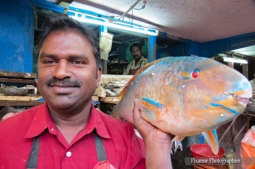 Asie, Inde du Sud, Tamil Nadu, Ooty, Marché, Souvenirs de Voyages, Pixanne Photographies