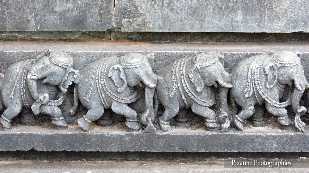 Asie, Inde du Sud, Karnataka, Belur, Chennakesava Temple, Frise, Elephants, Souvenirs de Voyages, Pixanne Photographies