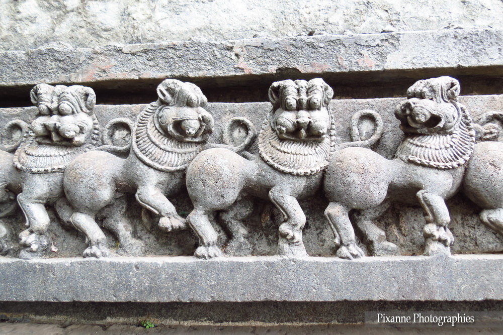 Asie, Inde du Sud, Karnataka, Belur, Chennakesava Temple, Frise, Lions, Souvenirs de Voyages, Pixanne Photographies