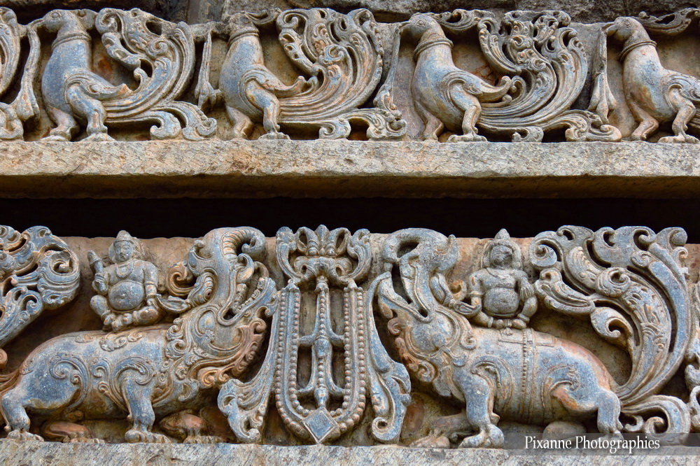 Asie, Inde du Sud, Karnataka, Halebidu, Hoysaleswara Temple, Frises, Makara, Souvenirs de Voyages, Pixanne Photographies