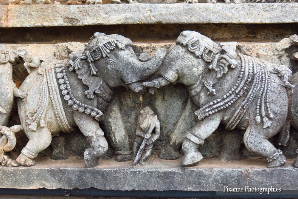Asie, Inde du Sud, Karnataka, Halebidu, Hoysaleswara Temple, Frises, Elephants, Souvenirs de Voyages, Pixanne Photographies