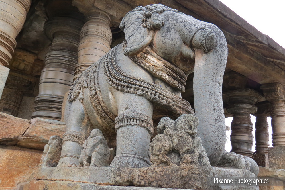 Asie, Inde du Sud, Karnataka, Belavadi, Veera Narayana Temple, Elephant, Souvenirs de Voyages, Pixanne Photographies