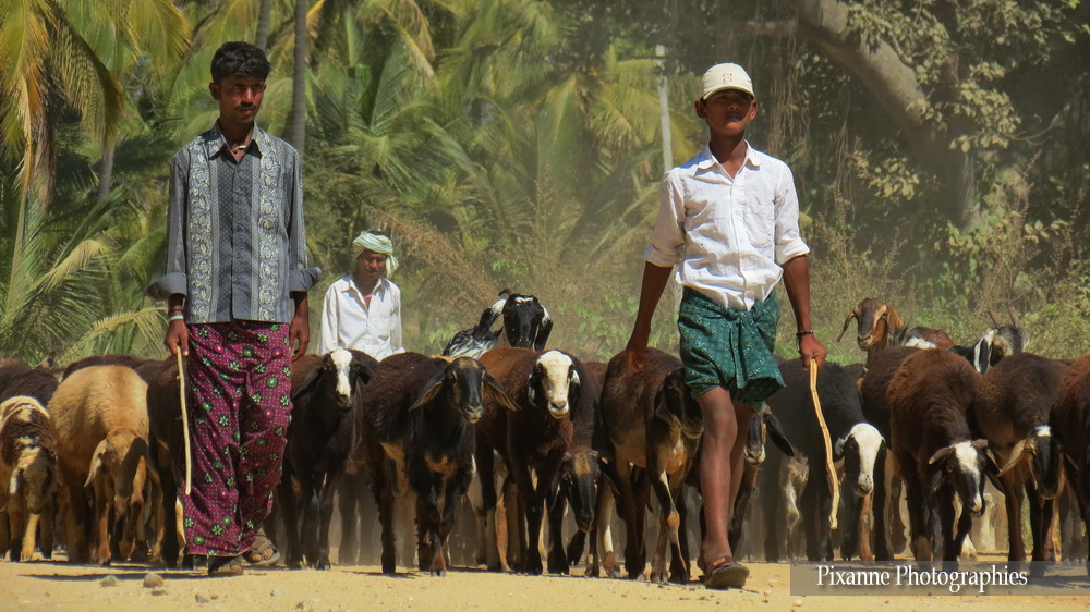 Asie, Inde du Sud, Karnataka, Hassan, Hampi, Souvenirs de Voyages, Pixanne Photographies