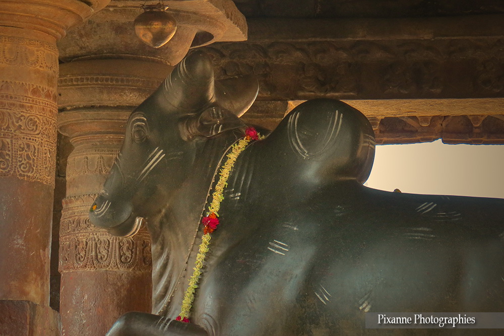 Asie, Inde du Sud, Karnataka, Pattadakal, Complexe sacré, Virupaksha Temple, Nandi, Souvenirs de Voyages, Pixanne Photographies
