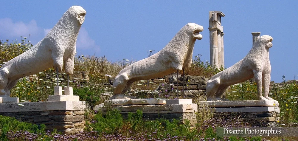 Grèce, Cyclades, Délos, Lions, Souvenirs de Voyages, Pixanne Photographies