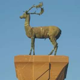 Europe, Grèce, Dodécanèse, Rhodes, Port de Mandraki, Daim, Souvenirs de Voyages, Pixanne Photographies