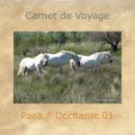 Europe, France, Carnets de Voyages, PACA, Occitanie, Souvenirs de Voyages, Pixanne Photographies