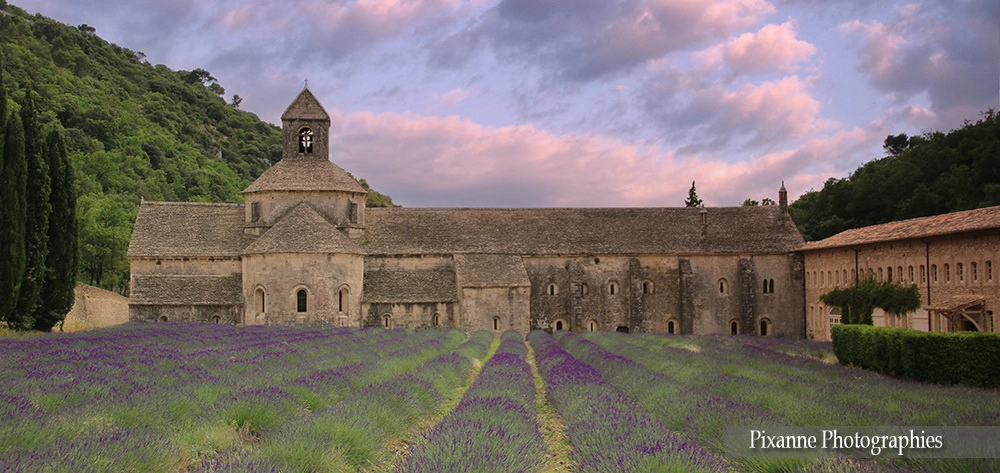 Europe, France, PACA, Vaucluse, Sénanque, Abbaye de Sénanque, Souvenirs de Voyages, Pixanne Photographies