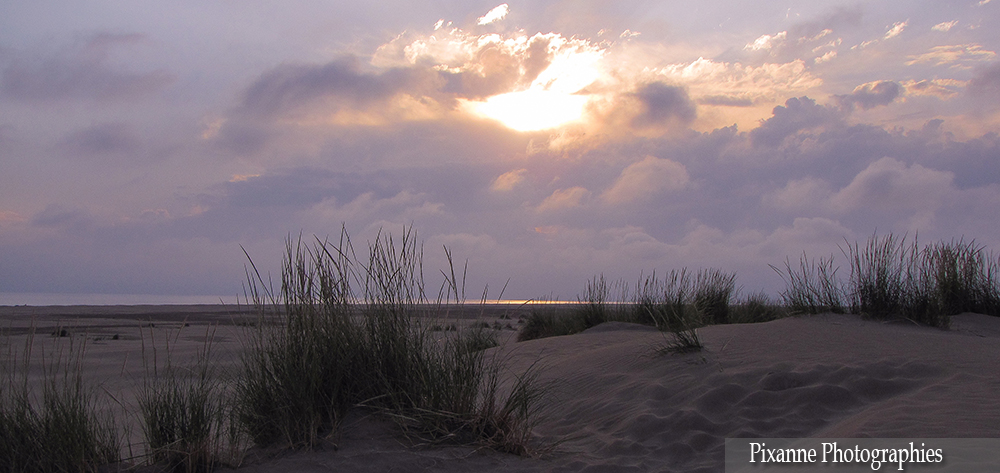 Europe, France, Occitanie, Gard, Camargue, Grau du roi, Plage de l espiguette, Souvenirs de Voyages, Pixanne Photographies