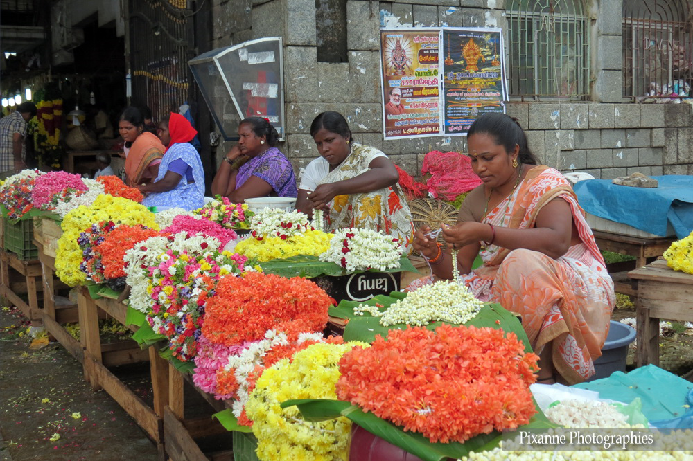 asie, inde, inde du sud, chennai, kamarajar market, marché aux fleurs, souvenirs de voyages, pixanne photographies