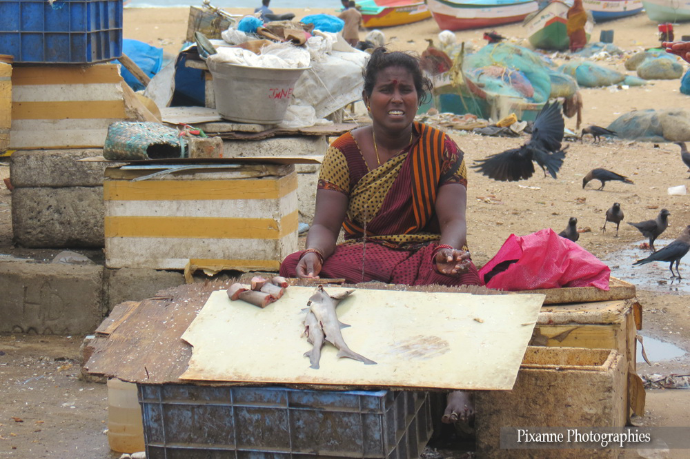 asie, inde, inde du sud, chennai, marché aux poissons, souvenirs de voyages, pixanne photographies