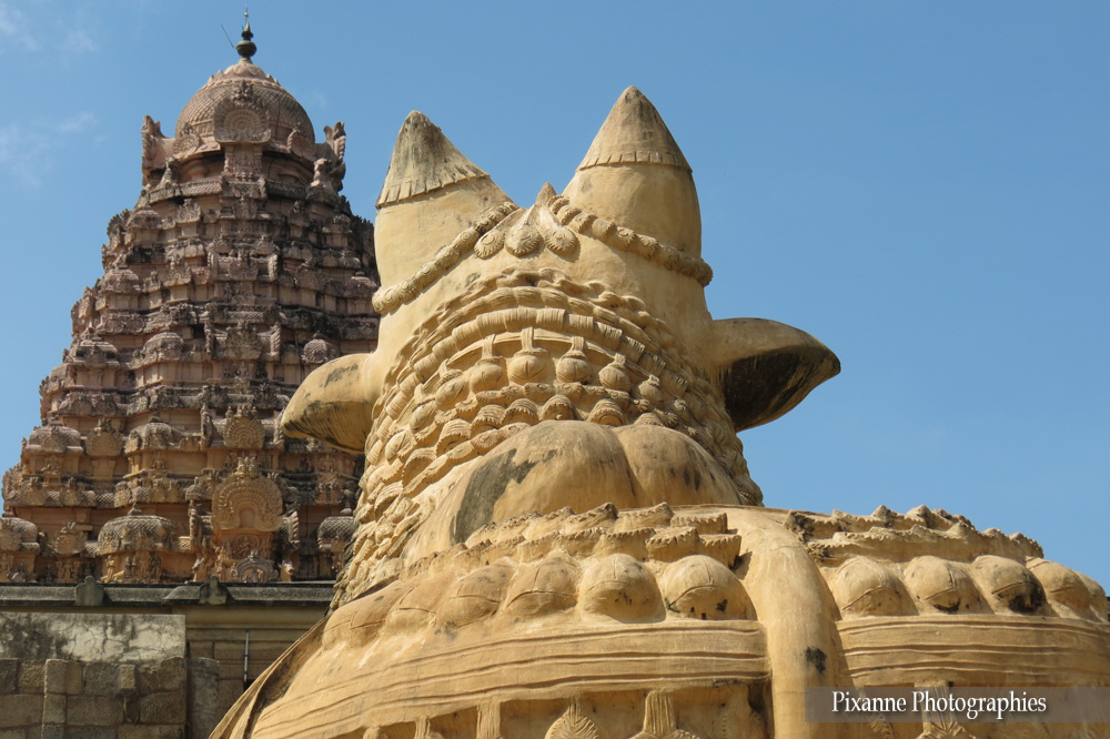 asie, inde, inde du sud, gangaikondacholapuram brihadisvara temple, nandi, souvenirs de voyages, pixanne photographies