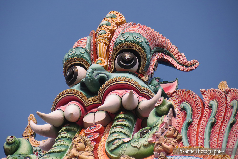 asie, inde, inde du sud, madurai, meenakshi sundareshvara temple, souvenirs de voyages, pixanne photographies
