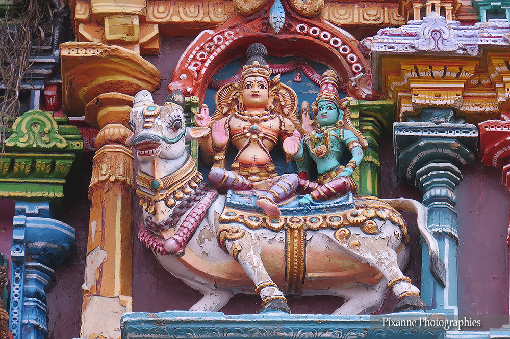 asie, inde, inde du sud, madurai, meenakshi temple, souvenirs de voyages, pixanne photographies