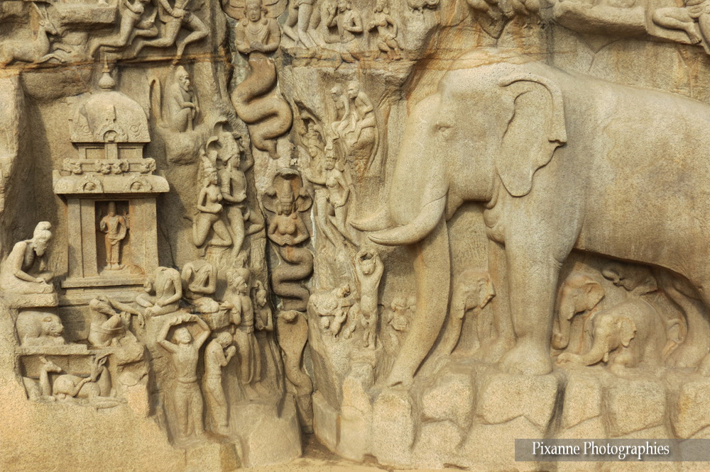 asie, inde, inde du sud, mahavalipuram, fresque, arjuna's penance, descente du gange, souvenirs de voyages, pixanne photographies