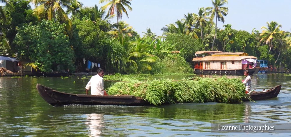 asie, inde, inde du sud, backwaters, barque, kettuvalam, souvenirs de voyages, pixanne photographies